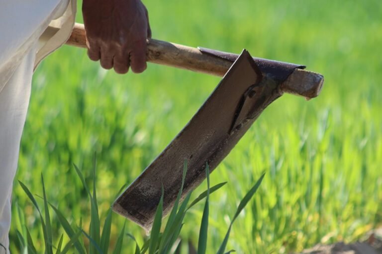 business evaluation of codes